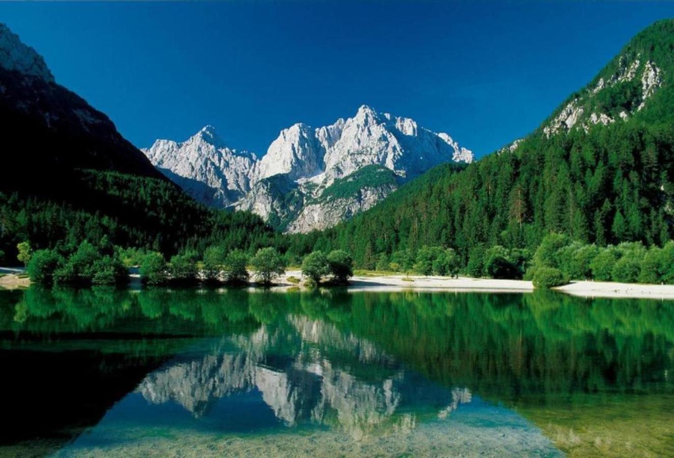 Apartmaji "La Vie Est Belle" Kranjska Gora Exterior photo